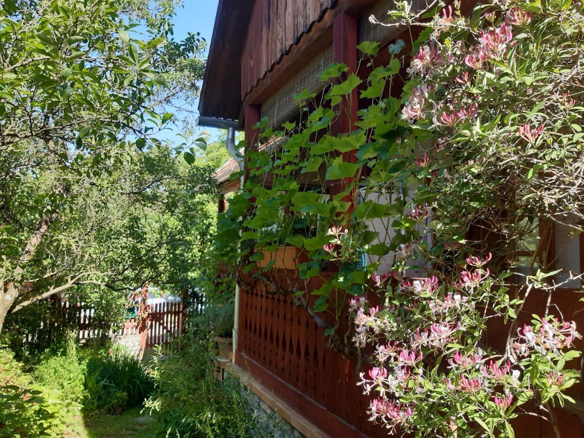 Ferienwohnung Forrasvoelgy Vendeghaz Jósvafő Exterior foto