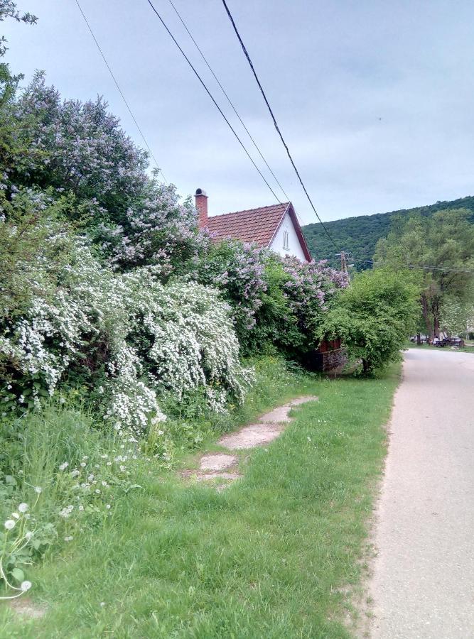 Ferienwohnung Forrasvoelgy Vendeghaz Jósvafő Exterior foto